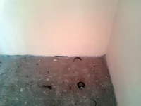 2011-09-23 12.19.06.webp