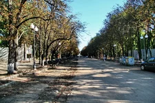 IMG_1899_.webp
