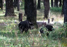 salo_20110917m5.jpg