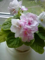 Ness snow clouds.webp