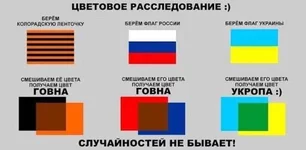 5hbjcg.webp