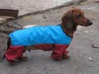 IMG_3661.webp IMG_3661.webp