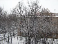 IMG_1168_resize.webp