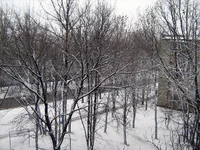 IMG_1169_resize.webp