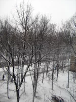 IMG_1170_resize.webp