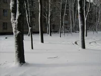 IMG_1171_resize.webp