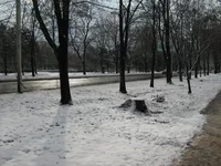 IMG_1173_resize.webp
