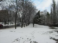 IMG_1176_resize.webp