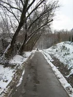 IMG_1177_resize.webp