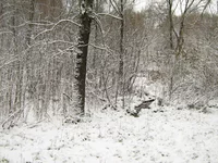 IMG_1181_resize.JPG
