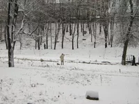 IMG_1182_resize.webp