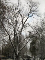 IMG_1183_resize.JPG
