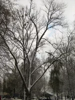 IMG_1183_resize.webp