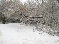 IMG_1187_resize.webp