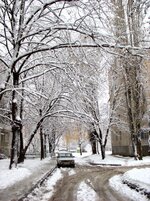CRW_0774.jpg