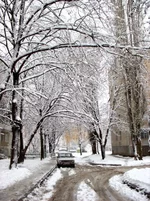 CRW_0774.webp