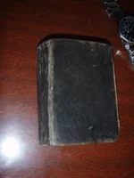 PA223491.webp