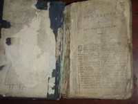 PA223494.webp