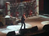 8.webp