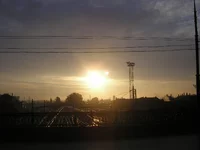 PA081149.webp