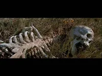 572_1.webp