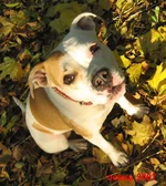  11 большое.webp