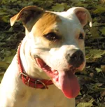 8 большая.webp