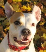  2 большое.webp