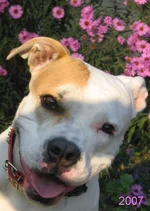  4 большое.webp