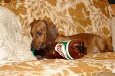 snoop2.webp