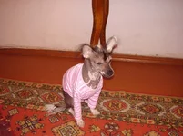 PA090464 новый.webp