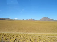CIMG0029.webp