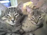 07-11-07_1015.jpg