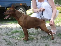  шоу оскар4.webp