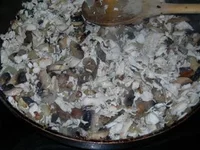 DSCN2757.webp