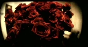 mplayerc 2007-11-26 23-39-18-29.webp
