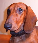 S4300034_nn.jpg
