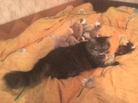 DSC00217.JPG