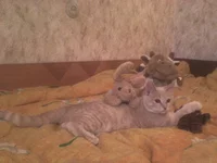 DSC00220.JPG