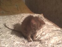 DSC00277.JPG