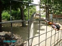 PICT0112.webp