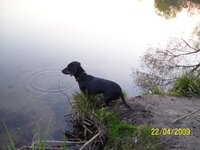 100_2702.jpg