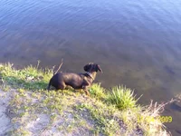 100_2690.jpg