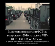 8bdddc.webp