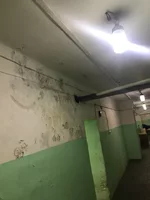 ehja1g.webp
