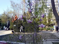 1fhece.webp
