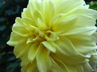 IMG_7850.webp