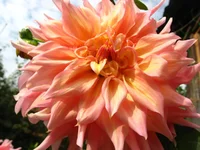 IMG_8308.webp