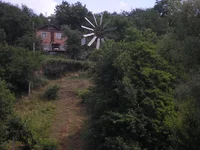 P6260637_hf.webp