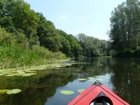 P1080205_hf.webp